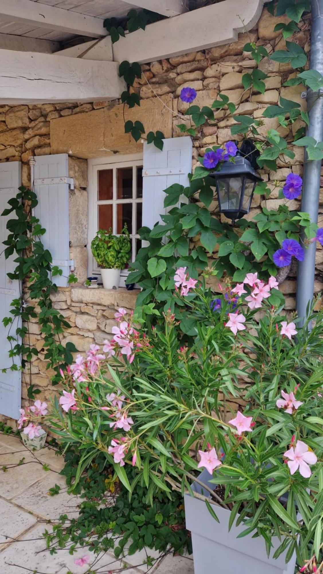 Le Clos-Lascazes Maison D'Hotes Le Buisson-de-Cadouin Εξωτερικό φωτογραφία